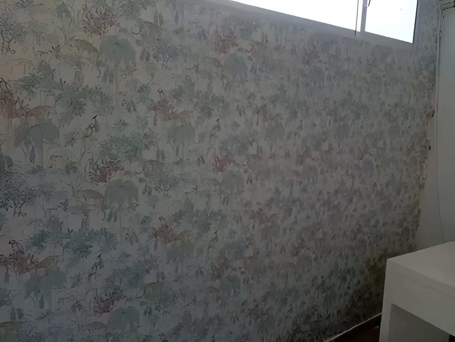 Los Pintores en Murcia colocando papel pintado decorativo en pared completa de habitación